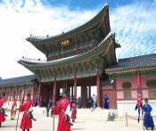 Du Lịch Hàn Quốc Chào Năm Mới 2019: HCM - Seoul - Nami - Ski Resort - Hái Dâu 5N Bay OZ