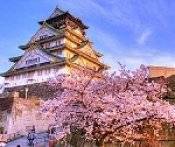 Du Lịch Nhật Bản: Hà Nội - Nagoya - Nara - Osaka - Kyoto - Toyohashi - Núi Phú Sỹ - Hakone - Kawaguchiko - Tokyo 6 Ngày Bay VN