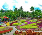 Du Lịch Thái Lan Siêu Khuyến Mãi 4 Ngày giá rẻ, cam kết chất lượng