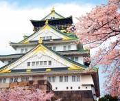 Du Lịch Nhật Bản: Hà Nội - Tokyo - Núi Phú Sỹ - Kyoto - Osaka 6 Ngày Bay 5 Sao