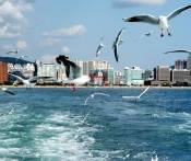Du Lịch Hàn Quốc 6 Ngày: Busan - Đảo Jeju - Seoul - Công Viên Everland