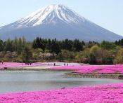 Du Lịch Nhật Bản: Hà Nội - Tokyo - Nikko - Núi Phú Sĩ - Yamanashi 6 Ngày