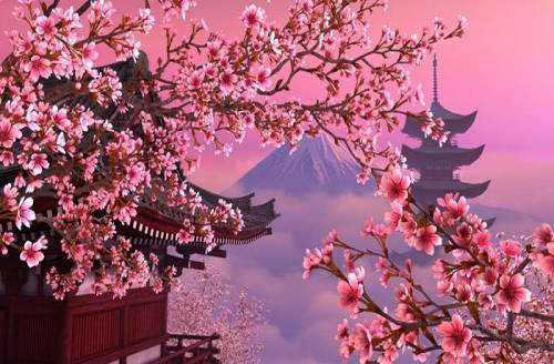 Du Lịch Nhật Bản: Đà Nẵng - Hokkaido - Sapporo 6N