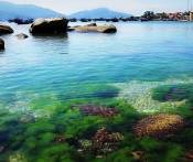 Du Lịch Đảo Bình Ba - Đảo Quốc Tôm Hùm - Nha Trang 3 Ngày 4 Đêm