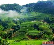 Du Lịch Mộc Châu - Thung Nai Từ Sài Gòn 2 Ngày