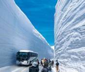 Du Lịch Nhật Bản: Đà Nẵng - Tokyo - Bức Tường Tuyết - Làng Cổ Shirakawago 5N Bay VJ