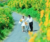 Du Lịch Đà Lạt: Cần Thơ - Đà Lạt - Thành Phố Tình Yêu 3 Ngày