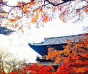Du Lịch Nhật Bản: Hà Nội - Osaka - Kyoto - Gifu - Nagoya - Shirakawago 5 Ngày Bay Vietjet Air