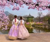 Du Lịch Hàn Quốc Tết 2019: Đà Nẵng - Seoul - Lotter Word - Đảo Nami