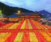 Du Lịch Hàn Quốc: Đà Nẵng - Hà Nội - Seoul - Đảo Nami - Everland 6 Ngày