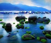 Du Lịch Khánh Hòa: Khám Phá Bình Hưng - Ninh Chữ 2N