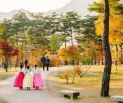 Du Lịch Hàn Quốc: Tp.HCM - Seoul - Nami - Everland 5 Ngày