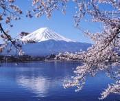 Du Lịch Nhật Bản Mùa Hoa Anh Đào: Haneda - Tokyo - Hakone - Nagoya - Kyoto - Osaka 6 Ngày