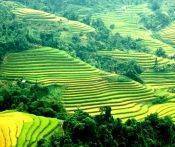 Du Lịch Sapa: Đà Nẵng - Hà Nội - Sapa - Cát Cát - Hàm Rồng 3 Ngày
