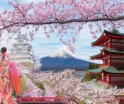 Tour Du Lịch Nhật Bản: HCM - Tokyo - Hakone - Fuji - Yamanashi 4 Ngày Bay ANA