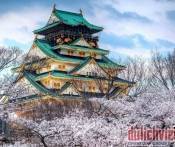 Du Lịch Nhật Bản: Osaka - Shirakawa - Tateyama - Phú Sĩ - Tokyo - 7 Ngày
