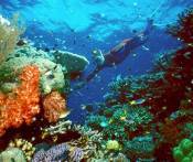 Du Lịch Maldives: HCM - Maldives - Trải Nghiệm Resort Rihiveli Beach & Spa 5 Ngày