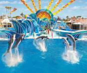 Tour Tự Chọn Tại Mỹ: San Diego - Seaworld 1 Ngày