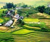 Du Lịch Sapa: Sài Gòn - Sapa - Cát Cát - Hàm Rồng - Thác Bạc - Bằng Ôtô 4 Ngày