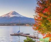Tour Đi Nhật Bản 5 Ngày 4 Đêm Từ TP.HCM Bay hàng không All Nippon Airways Giá Rẻ