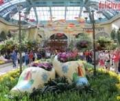 Du Lịch Mỹ: Tp.HCM - New York - Philadelphia - Washington DC - Los Angeles - Las Vegas 10 Ngày