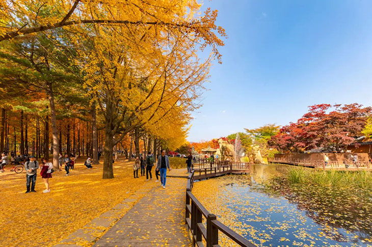 Du lịch Hàn Quốc Mùa Thu Vàng: Hà Nội - Seoul - Nami - Everland 5 Ngày Bay Vietjet Air