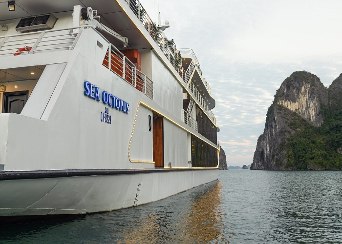Tour du thuyền 5* Sea Octopus 1N thăm Vịnh Hạ Long