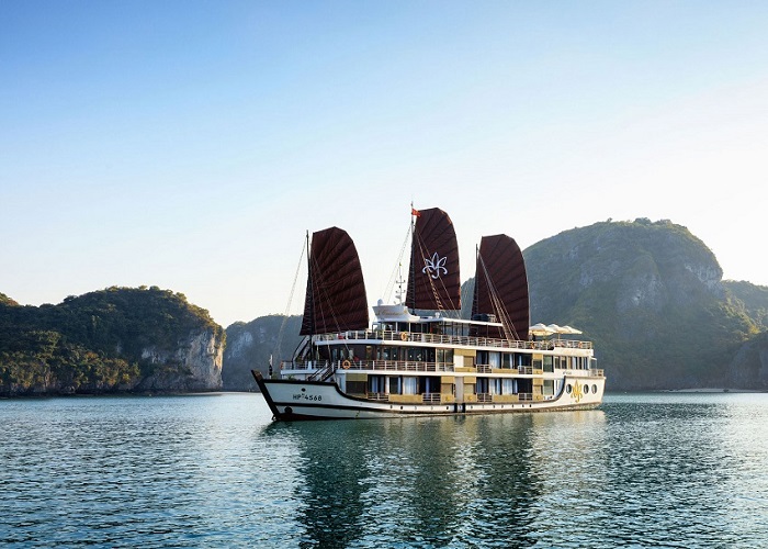 Tour du thuyền 5* Orchid Classic 2N1Đ ngủ đêm trên Vịnh Hạ Long
