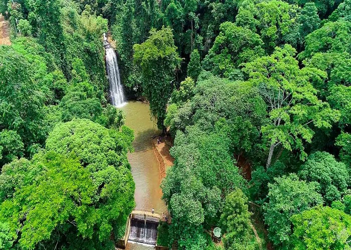 Tour Măng Đen 2N1Đ Từ Đà Nẵng, Xe Ô tô + KS tiêu chuẩn