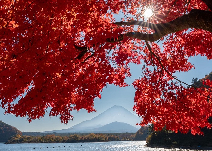 Tour Nhật Bản 5N4Đ mùa thu: Từ HCM - Tokyo - Yamanashi - Narita, Bay Vietnam Airlines + KS 3-4*