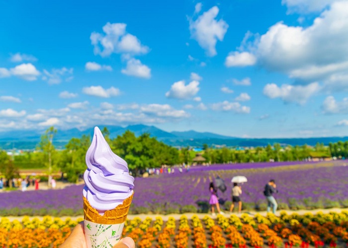 Tour Nhật Bản 5N5Đ: Từ HCM - Sapporo - Asahikawa - Otaru - Tokyo, Bay Japan Airlines + KS 3* - Khám phá Hokkaido mùa hoa Lavender