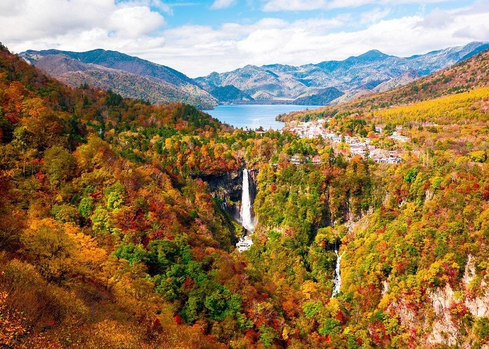 Tour Nhật Bản mùa thu 5N5Đ: Từ HCM - Asahikawa - Biei - Sappora - Noboribetsu, Bay Japan Airlines + KS 4*
