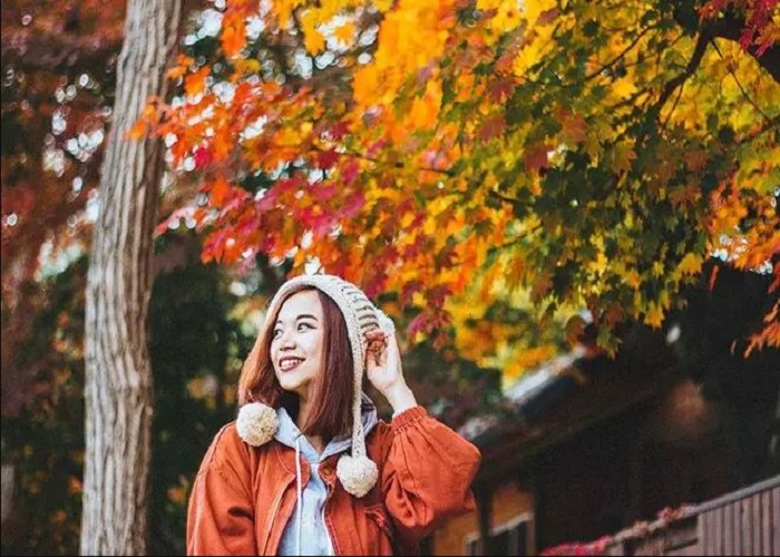 Du Lịch Hàn Quốc: Hà Nội - Seoul - Đảo Nami - Everland - Painter  Show 5 Ngày 4 đêm Bay Vietjet Air