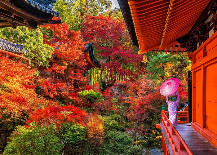 Tour Nhật Bản 6N5Đ mùa thu: Từ HCM - Kobe - Osaka - Kyoto - Yamanashi - Fuji - Tokyo, Bay Vietjet Air + KS 3-4*