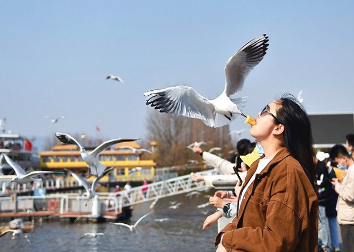 Tour Trung Quốc 5N4Đ: Từ HCM - Côn Minh - Đằng Xung, Bay China Eastern Airlines + KS 4*, Hành trình NO SHOPPING