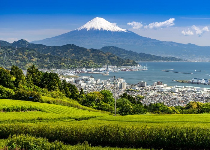 Tour Nhật Bản 5N4Đ Tết Âm Lịch 2026: Từ HCM - Tokyo - Yamanashi - Narita, Bay Vietjet Air + KS 3-4*