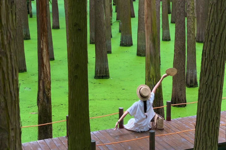 Du Lịch Trung Quốc: Hà Nội - Thượng Hải - Đầm Thanh Sơn (Hồ Matcha) - Ô Trấn - Hàng Châu - Thượng Hải 6 Ngày Bay Vietnam Airlines (No Shopping)