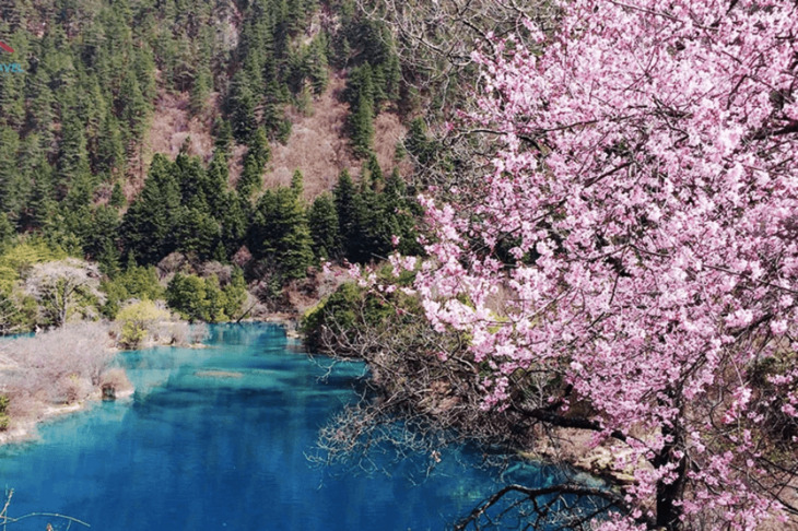 Du Lịch Trung Quốc: Hà Nội - Thành Đô - Cửu Trại Câu - Đô Giang Yển 6 Ngày Bay Chengdu Airlines