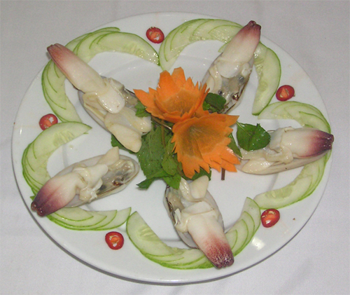 Tu Hài - Hạ Long