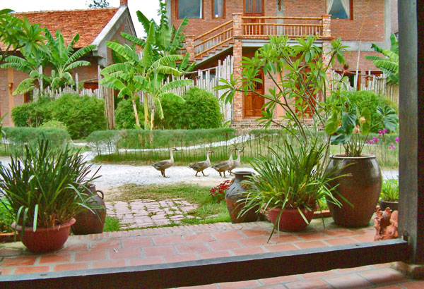 Cảnh Vạn Chài