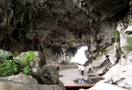 Du lịch Hạ Long