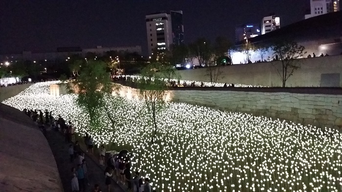 Mê mẩn lễ hội vườn hồng Led ở DDP